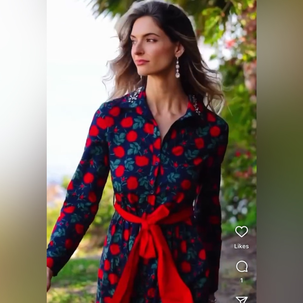 Trish Scully Navy & Red Floral Maxi Dress - Size 6 NWT